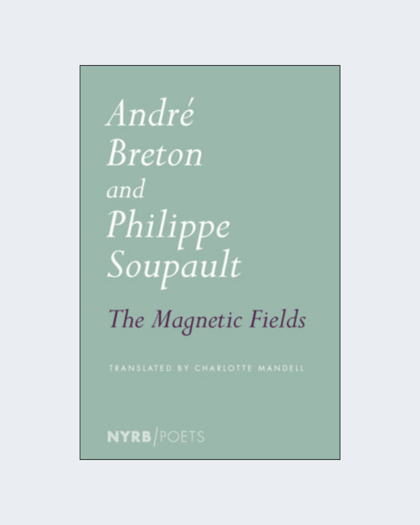 THE MAGNETIC FIELDS