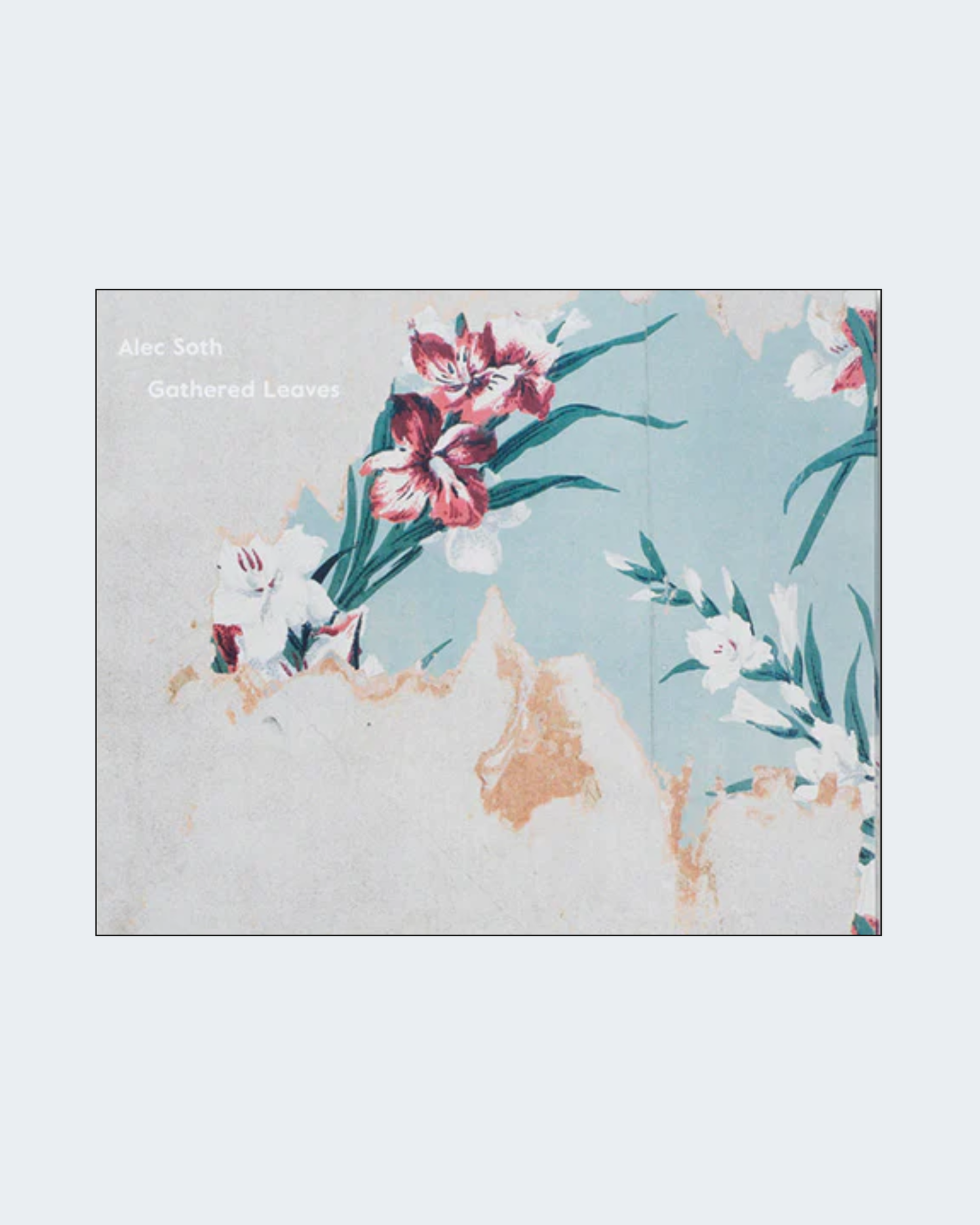 GATHERED LEAVES