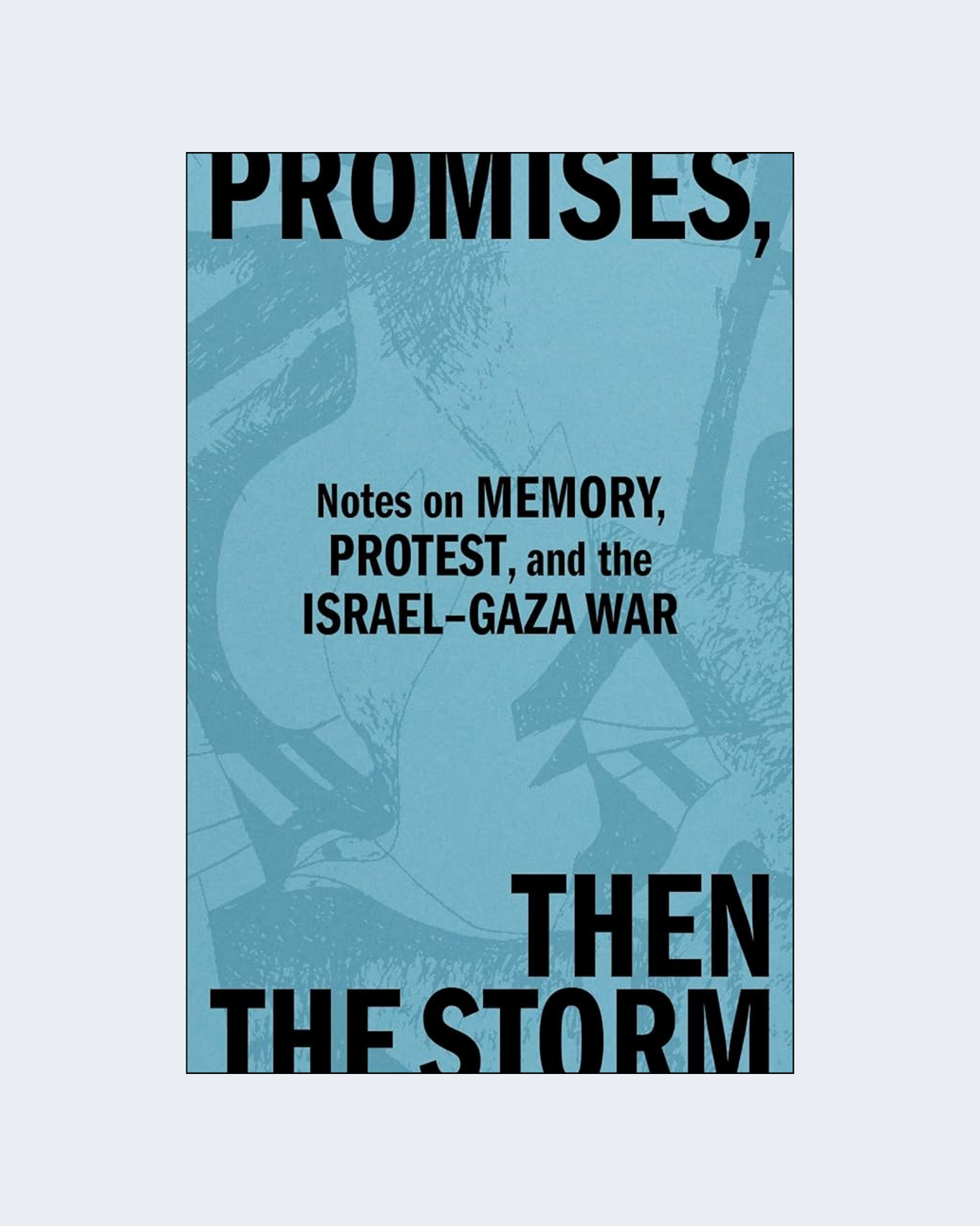 PROMISES, THEN THE STORM: Notes on Memory, Protest, and the Israel-Gaza War