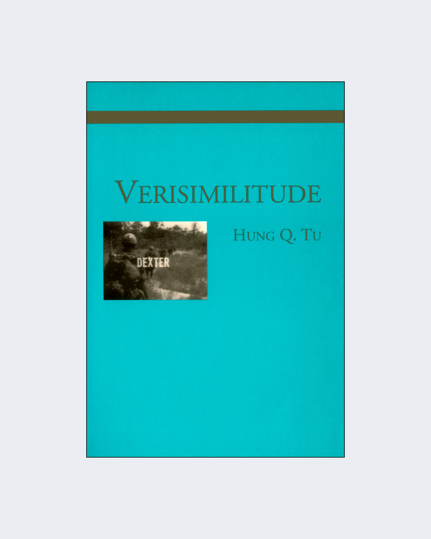 VERSIMILITUDE