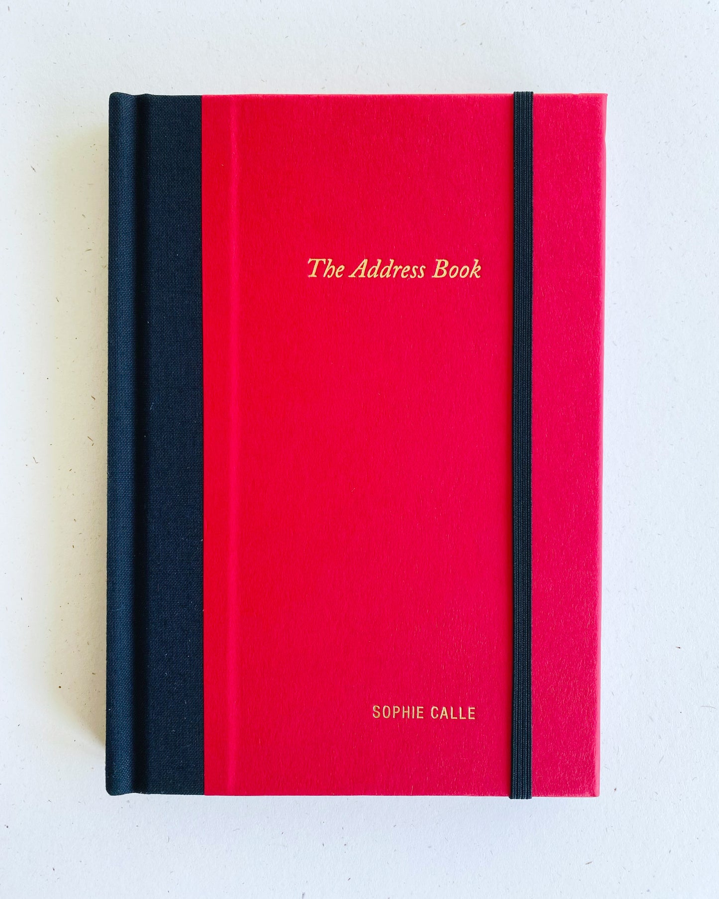THE ADDRESS BOOK