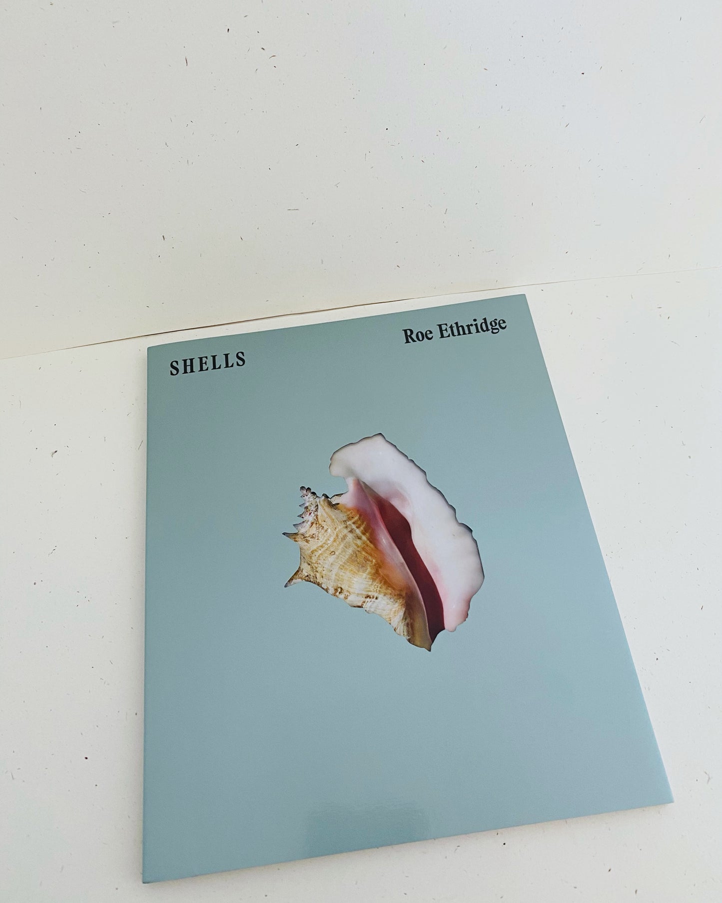 SHELLS