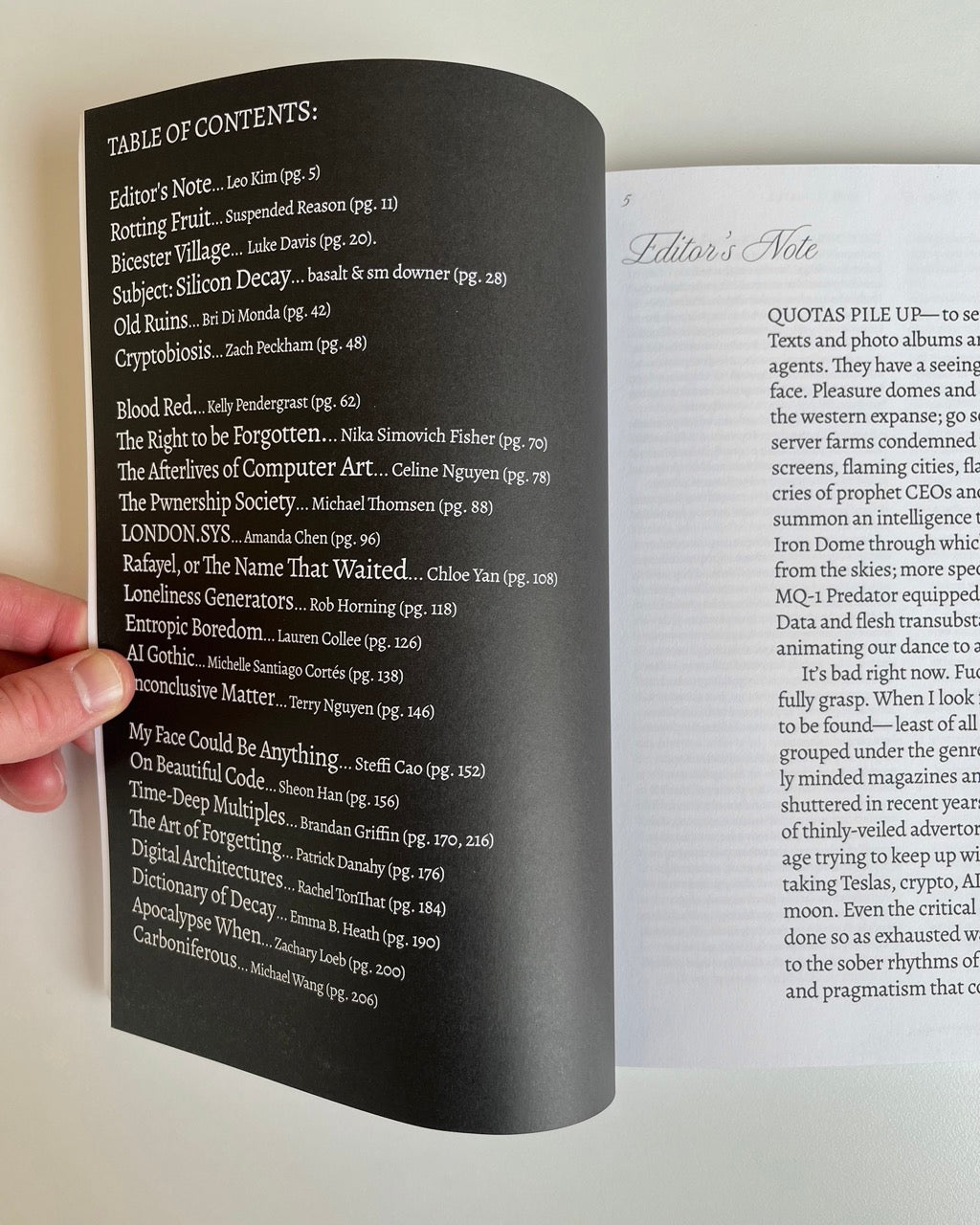 EMPTY SET ISSUE 1: DECAY