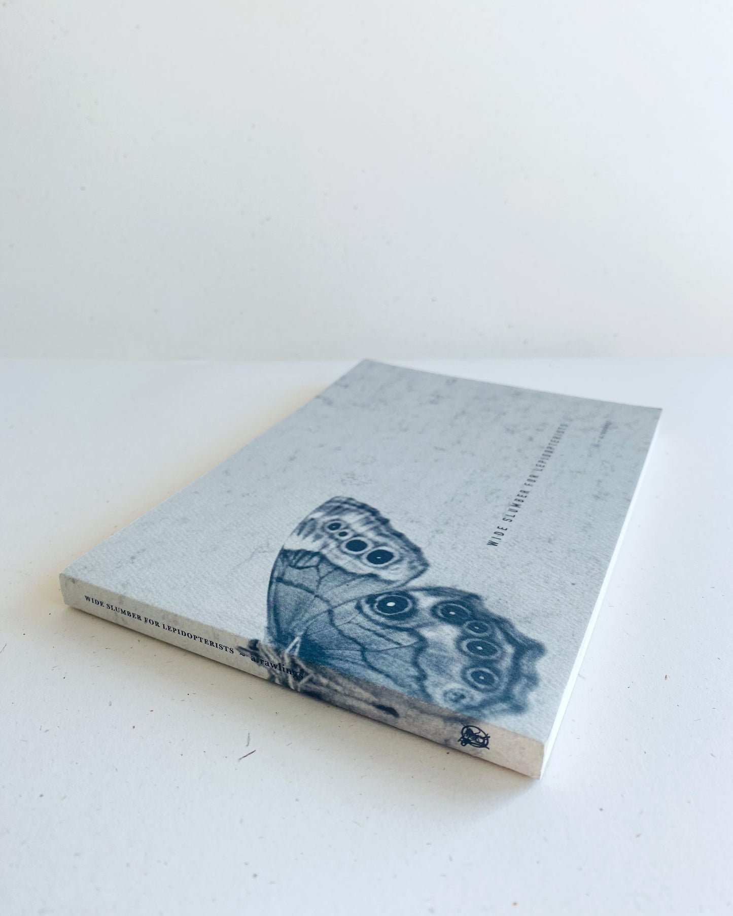 WIDE SLUMBER FOR LEPIDOPTERISTS