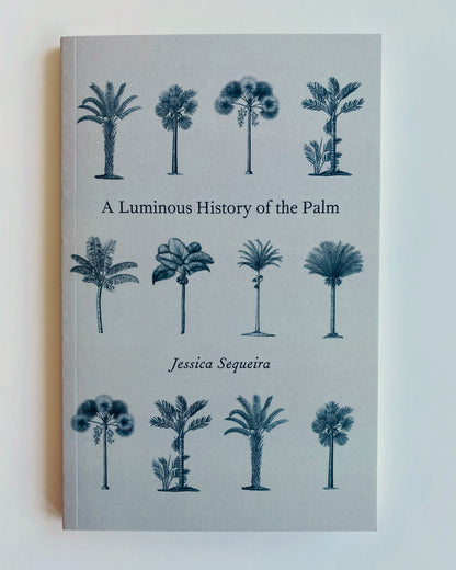 A LUMINOUS HISTORY OF THE PALM