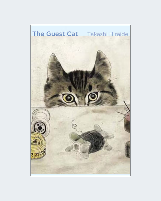THE GUEST CAT