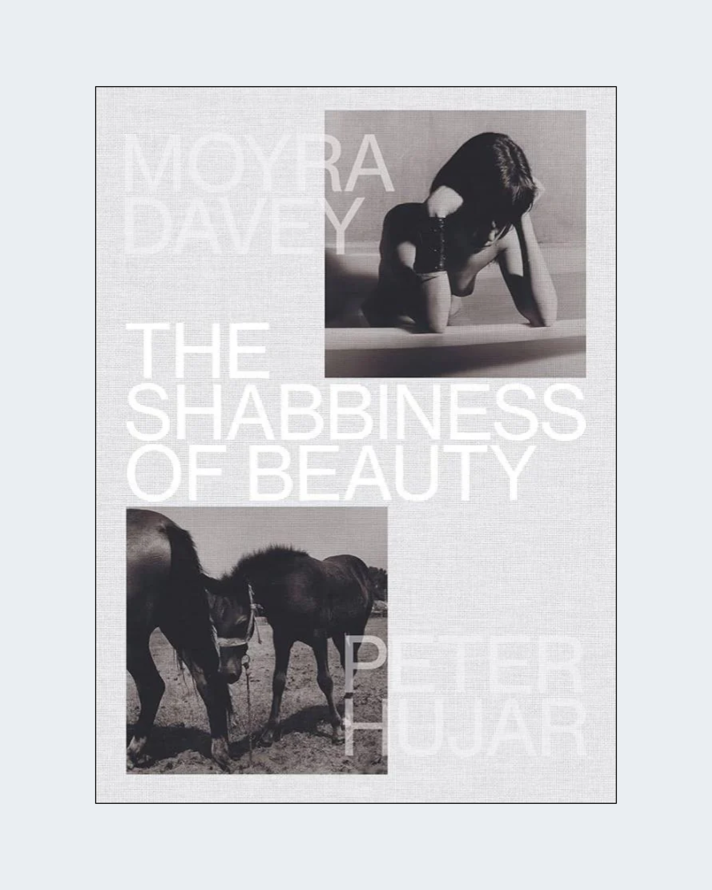 THE SHABBINESS OF BEAUTY