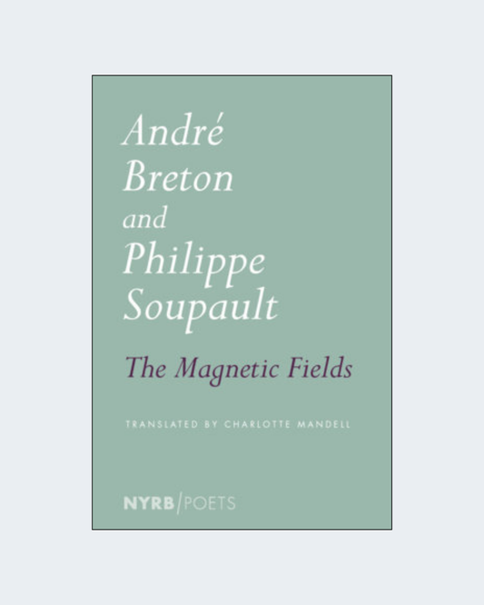 THE MAGNETIC FIELDS