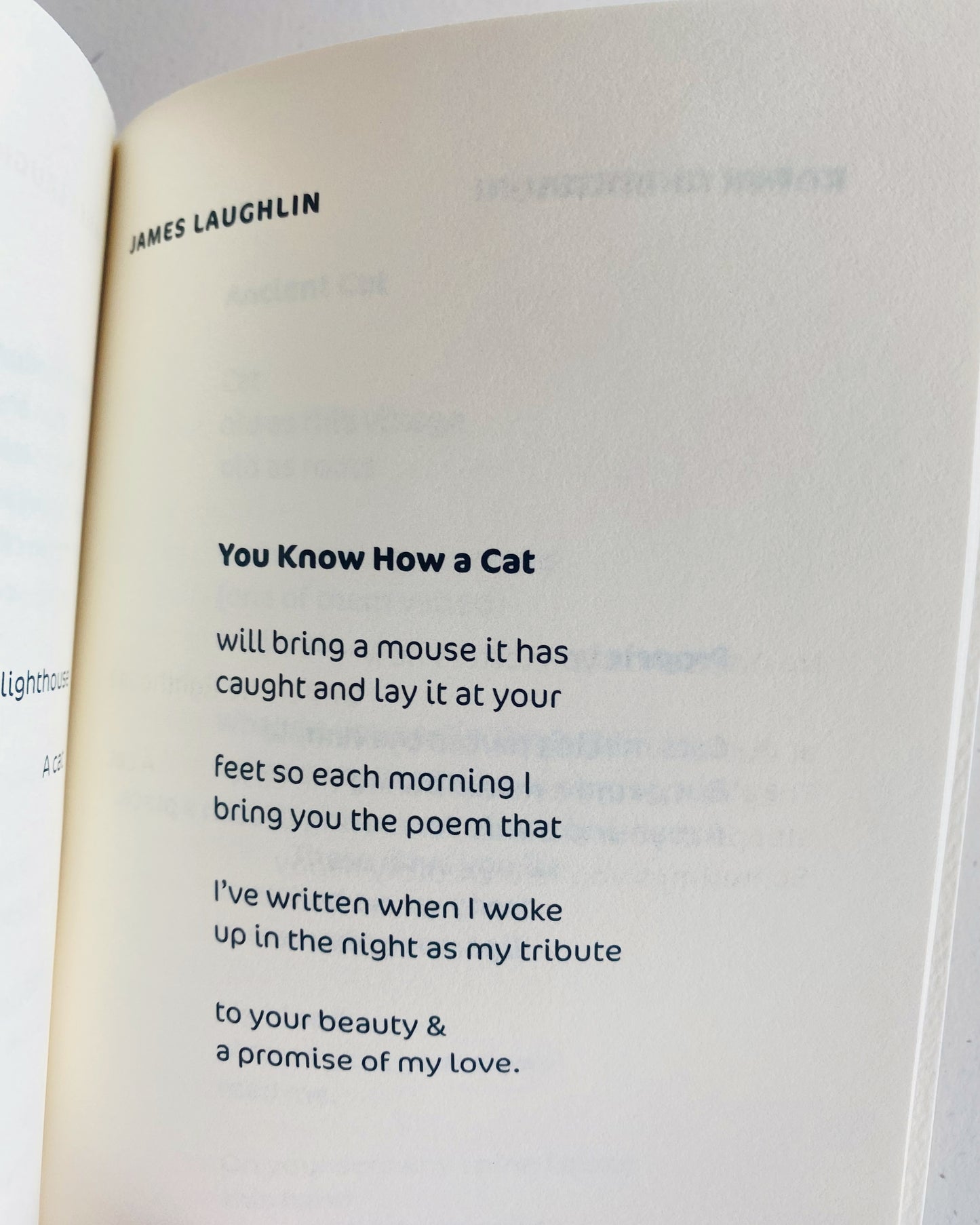 CAT POEMS