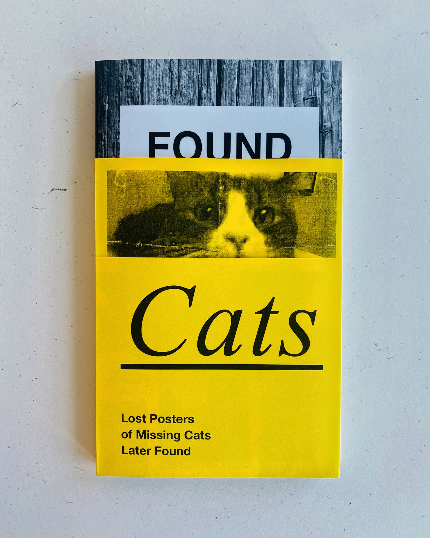 FOUND CATS