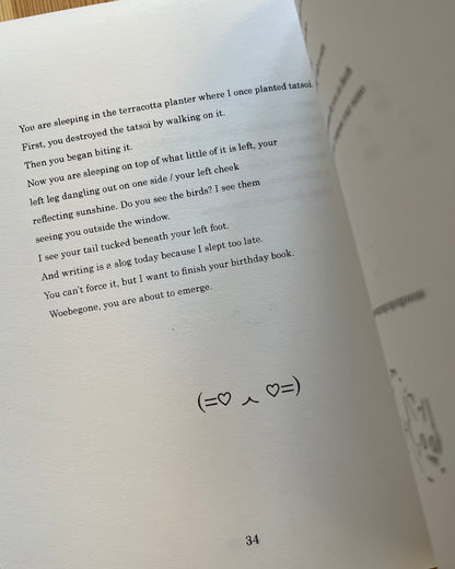 WOEBEGONE AND OTHER POEMS