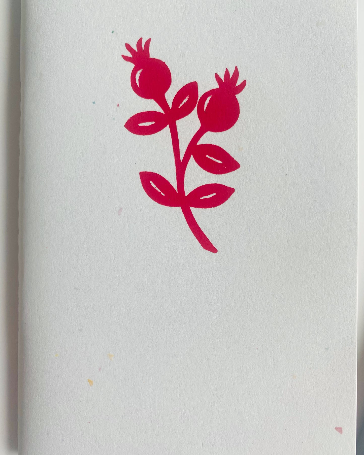 ROSEHIP POCKET JOTTER