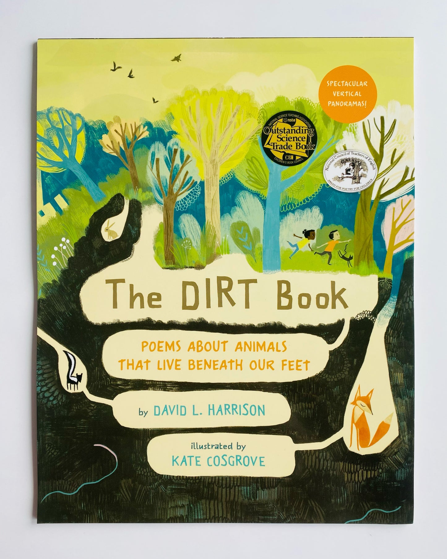 THE DIRT BOOK