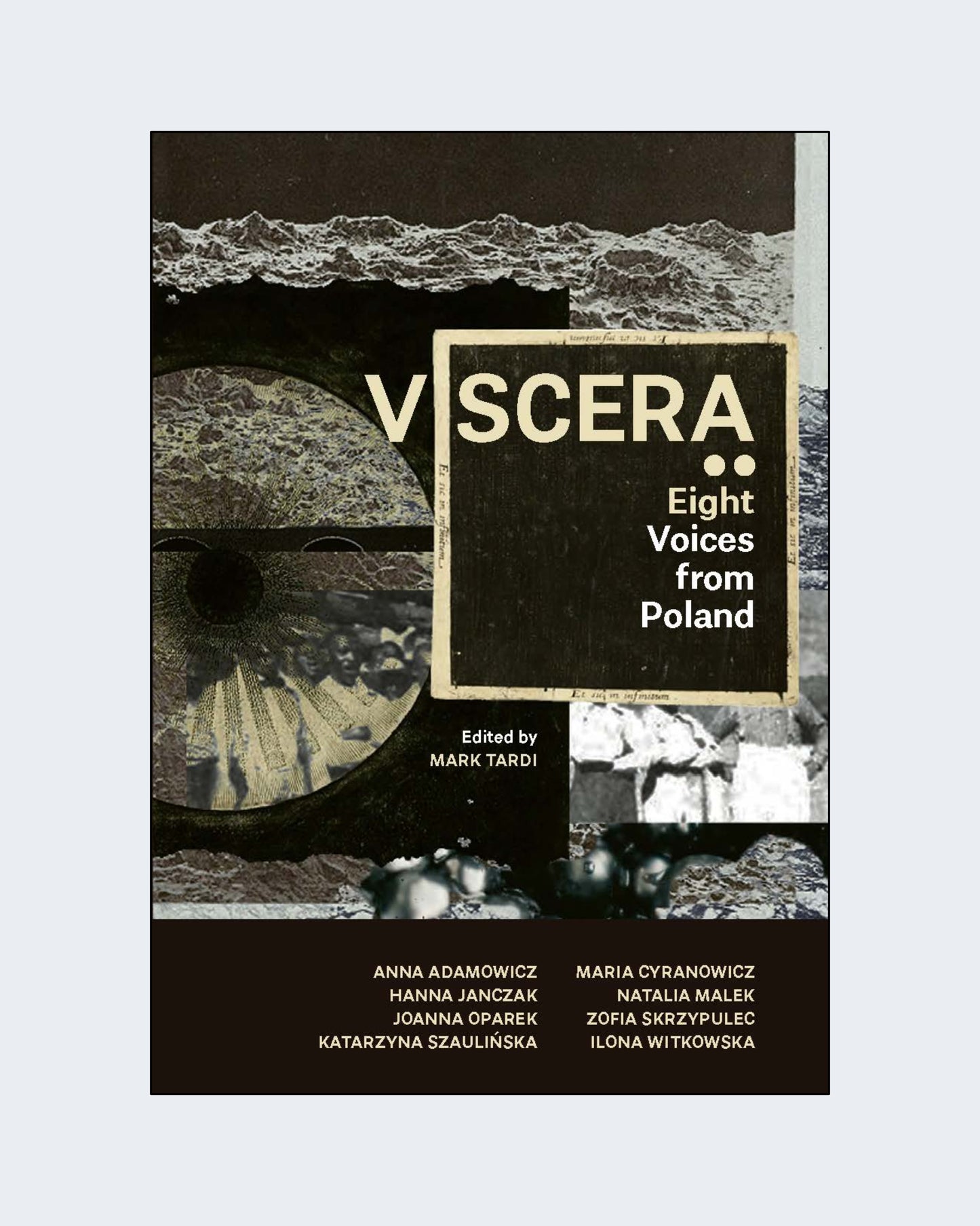 VISCERA: EIGHT VOICES FROM POLAND